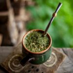 a plant in a pot