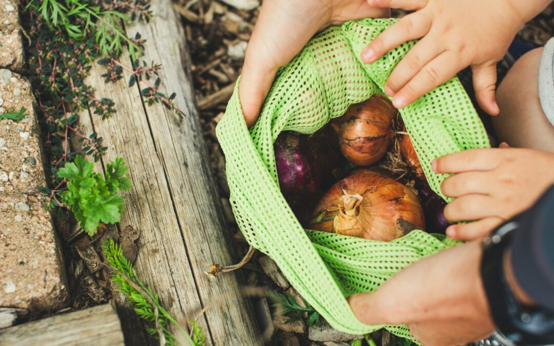 Zero waste w kuchni – jak wykorzystać resztki owoców i warzyw