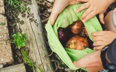 Zero waste w kuchni – jak wykorzystać resztki owoców i warzyw